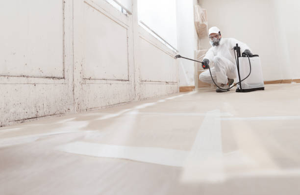 Black mold remediation team in New Holland
